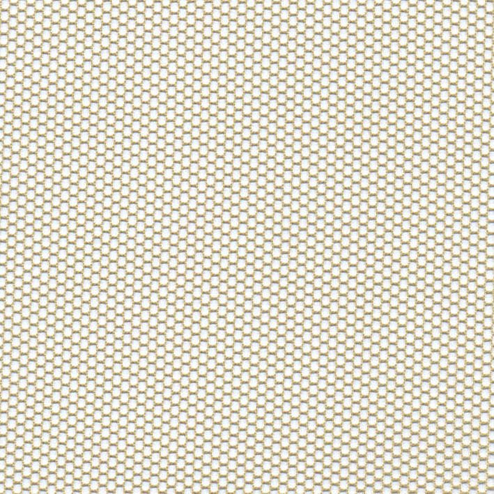 HT0037 var.8